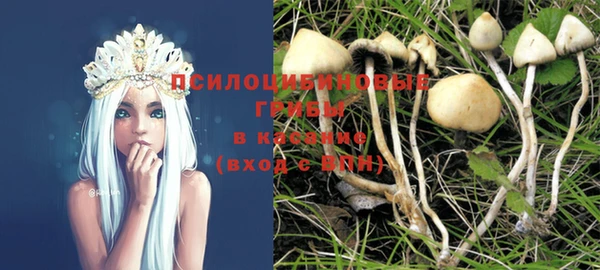 ALPHA PVP Покачи